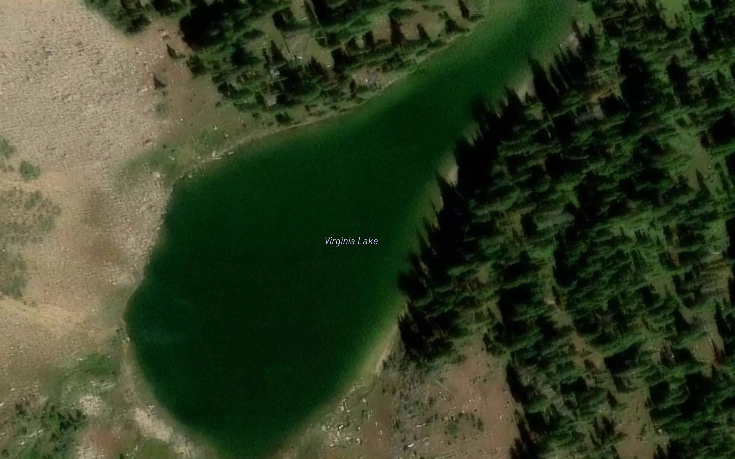 Virginia Lake