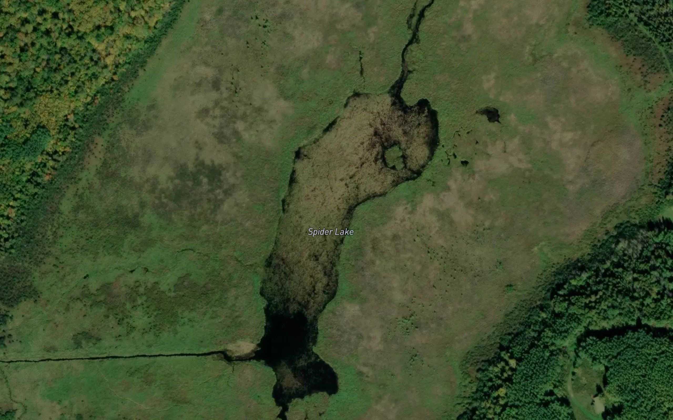 Spider Lake