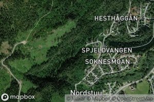 Langgjelan
