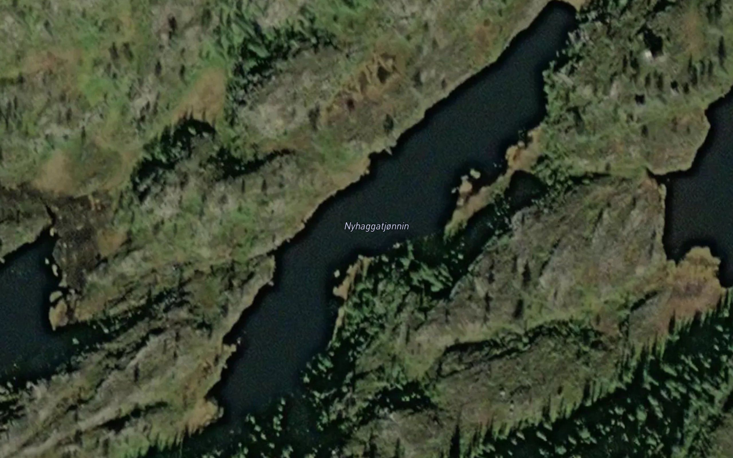 Nyhagatjornin