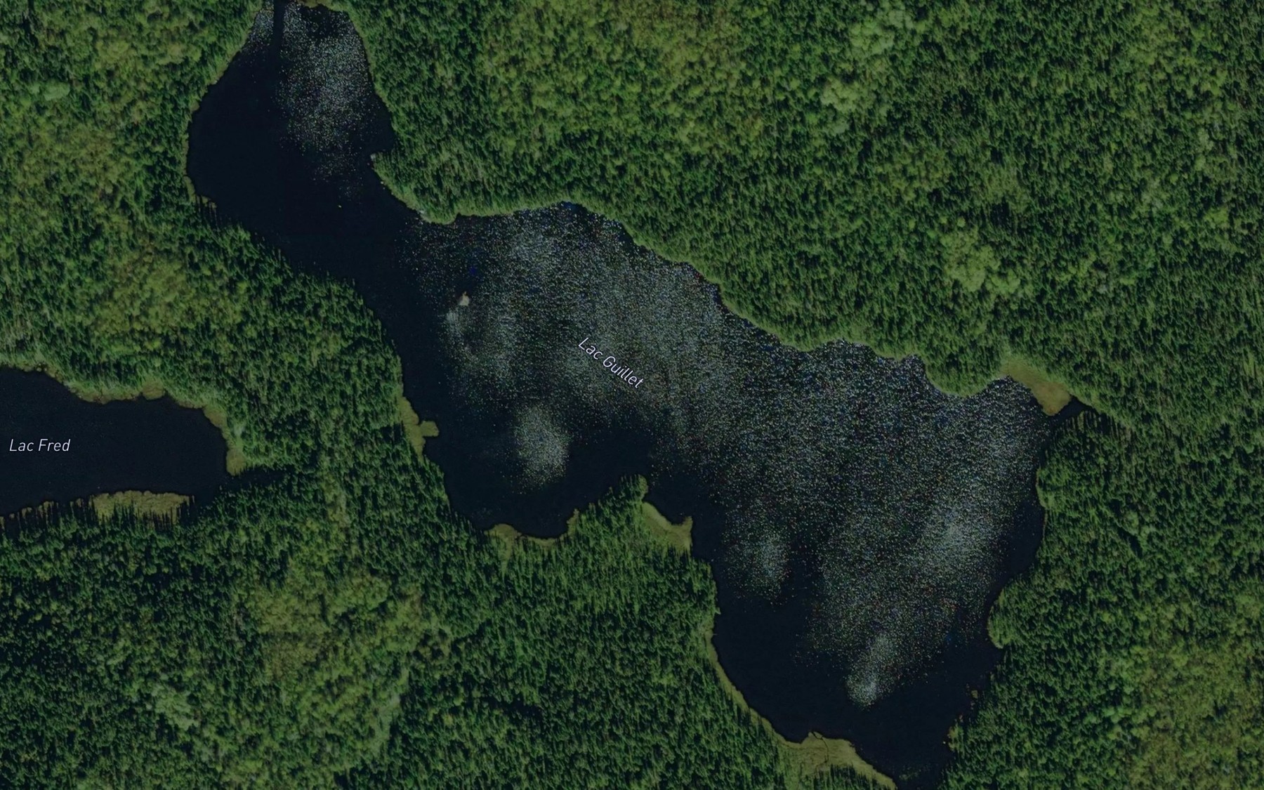 Satellite map of the Lac Guillet