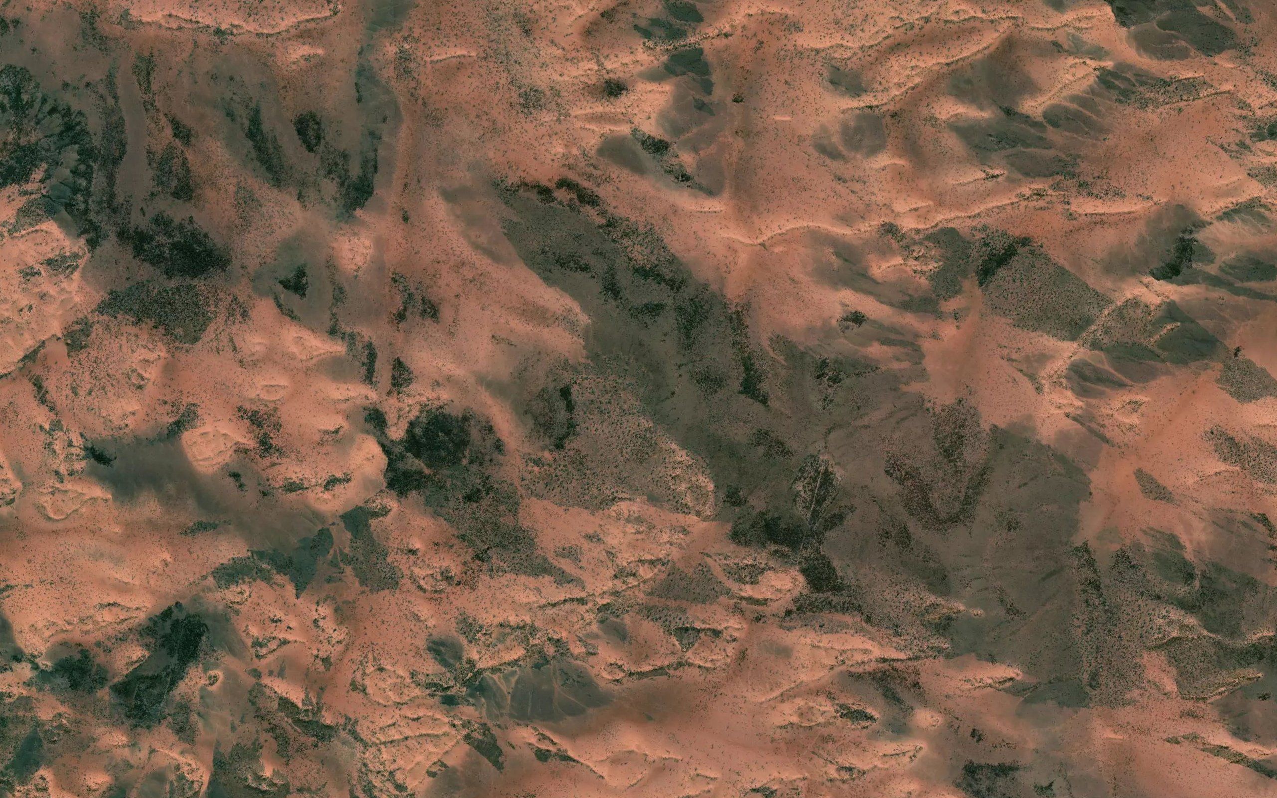 Pigyard Gully