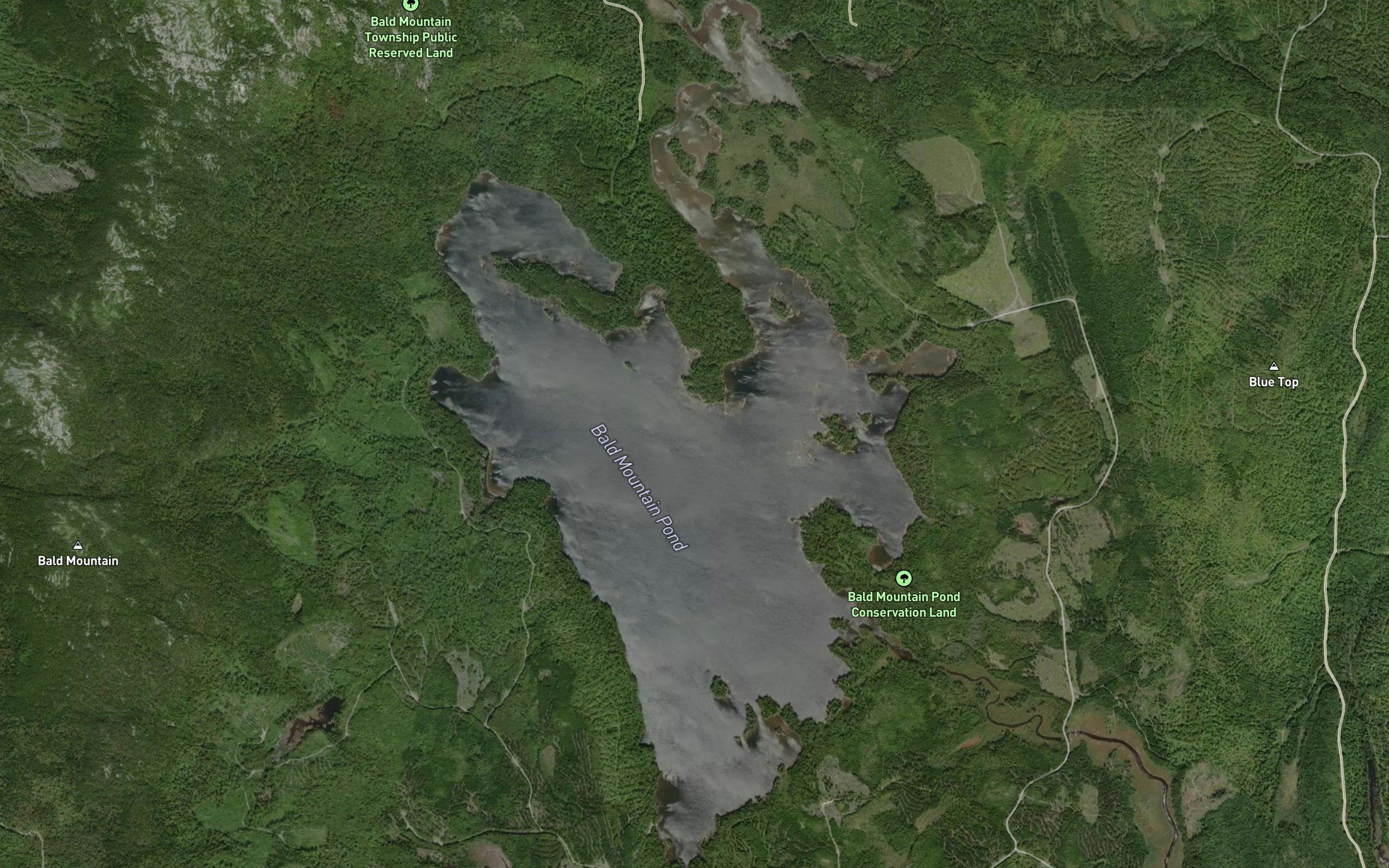 Bald Mountain Pond
