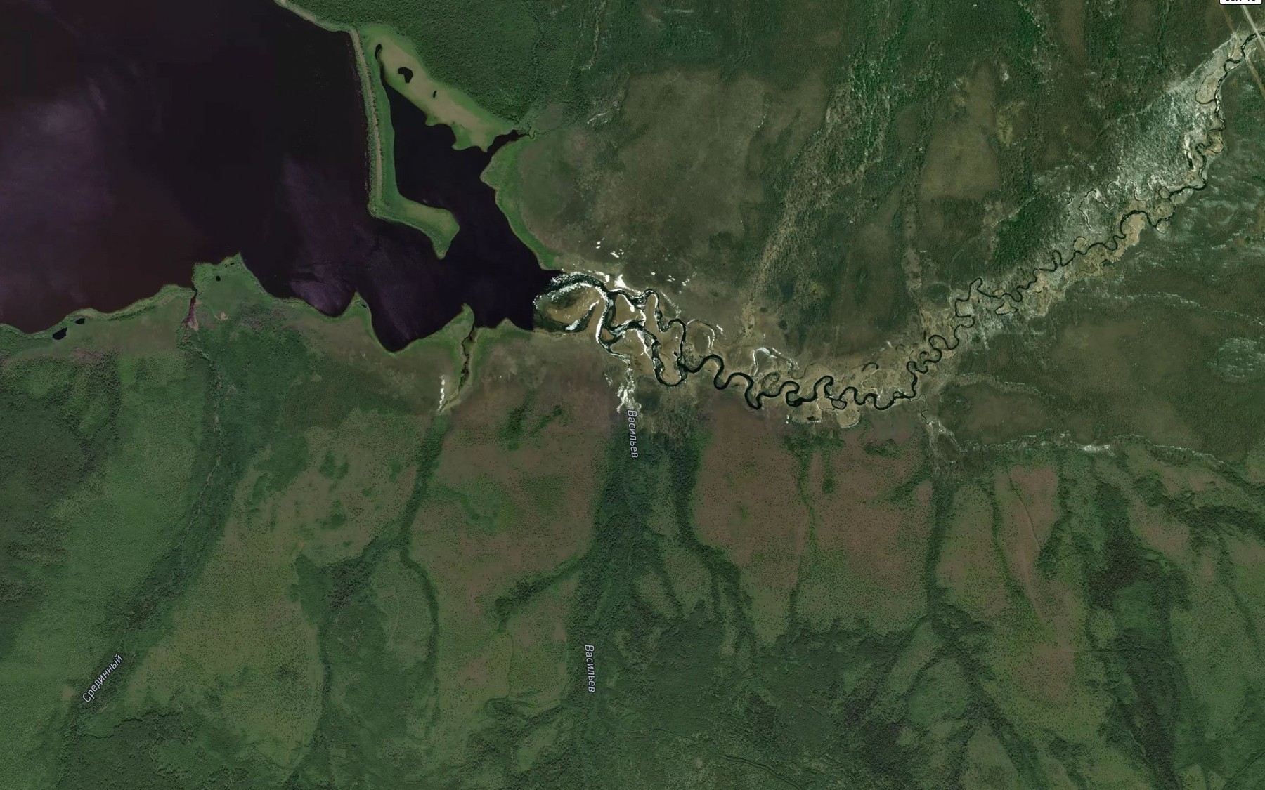 Satellite map of the Vasil'yev