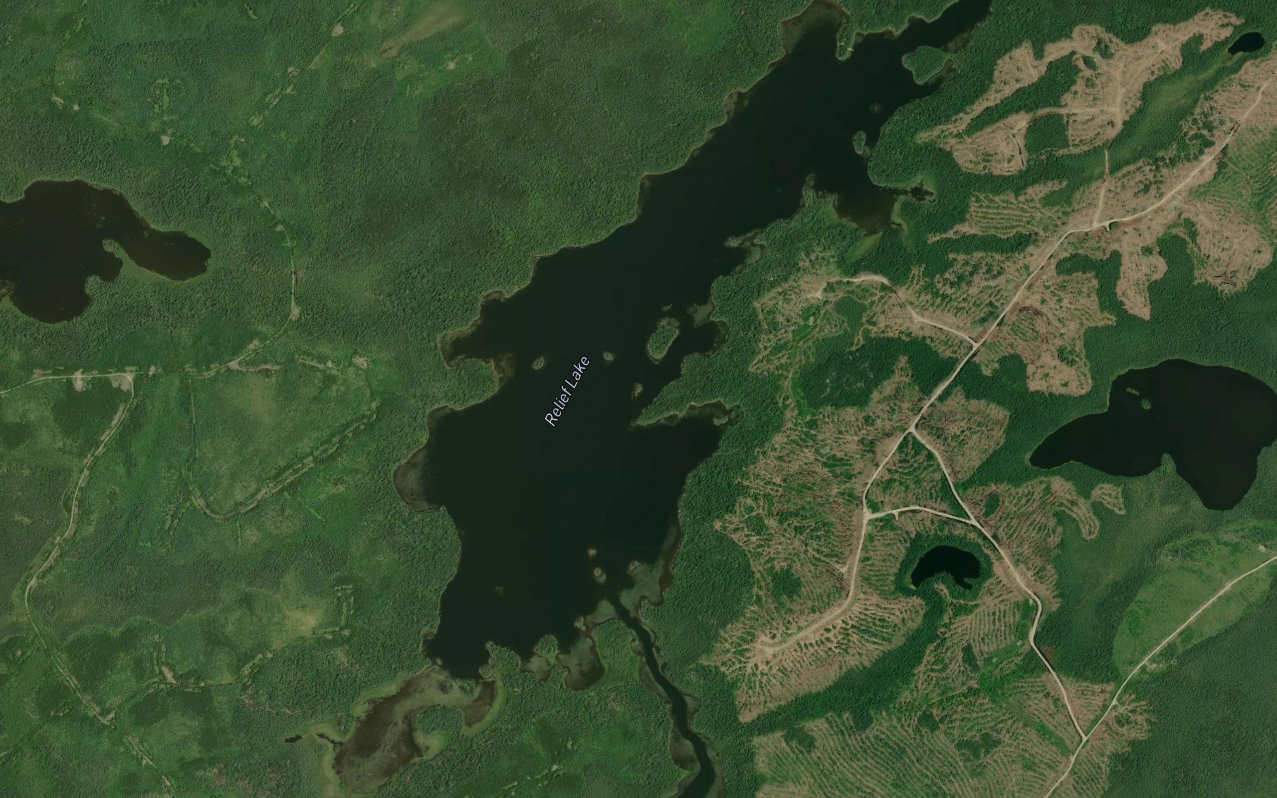 Relief Lake