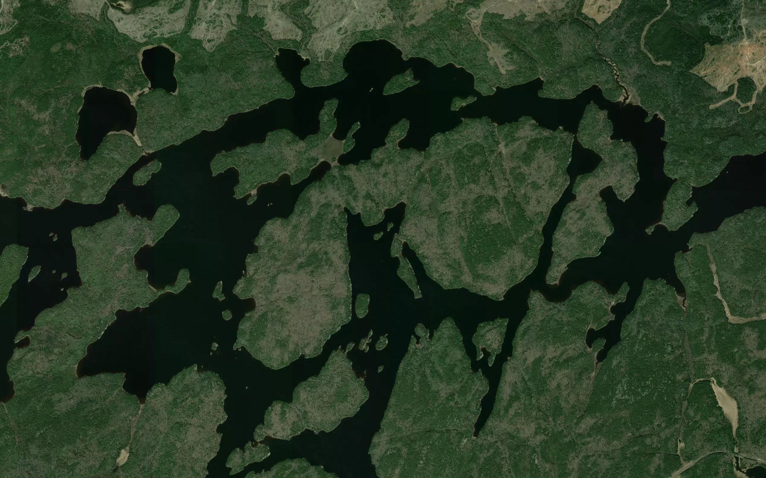 Northeast Bay