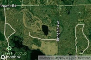 Owl Lake