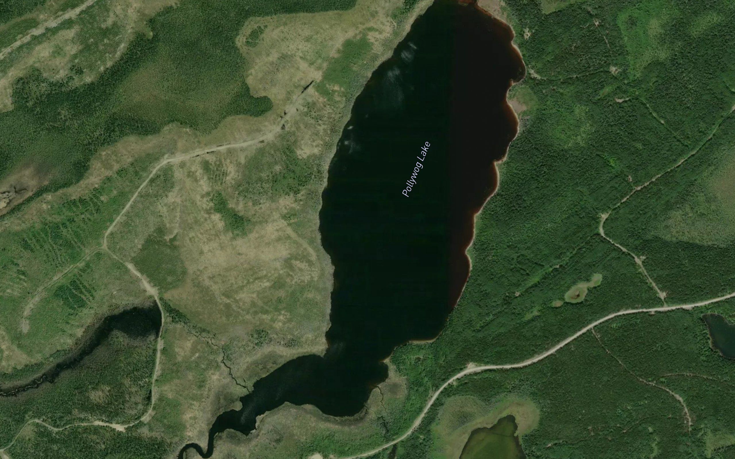 Pollywog Lake