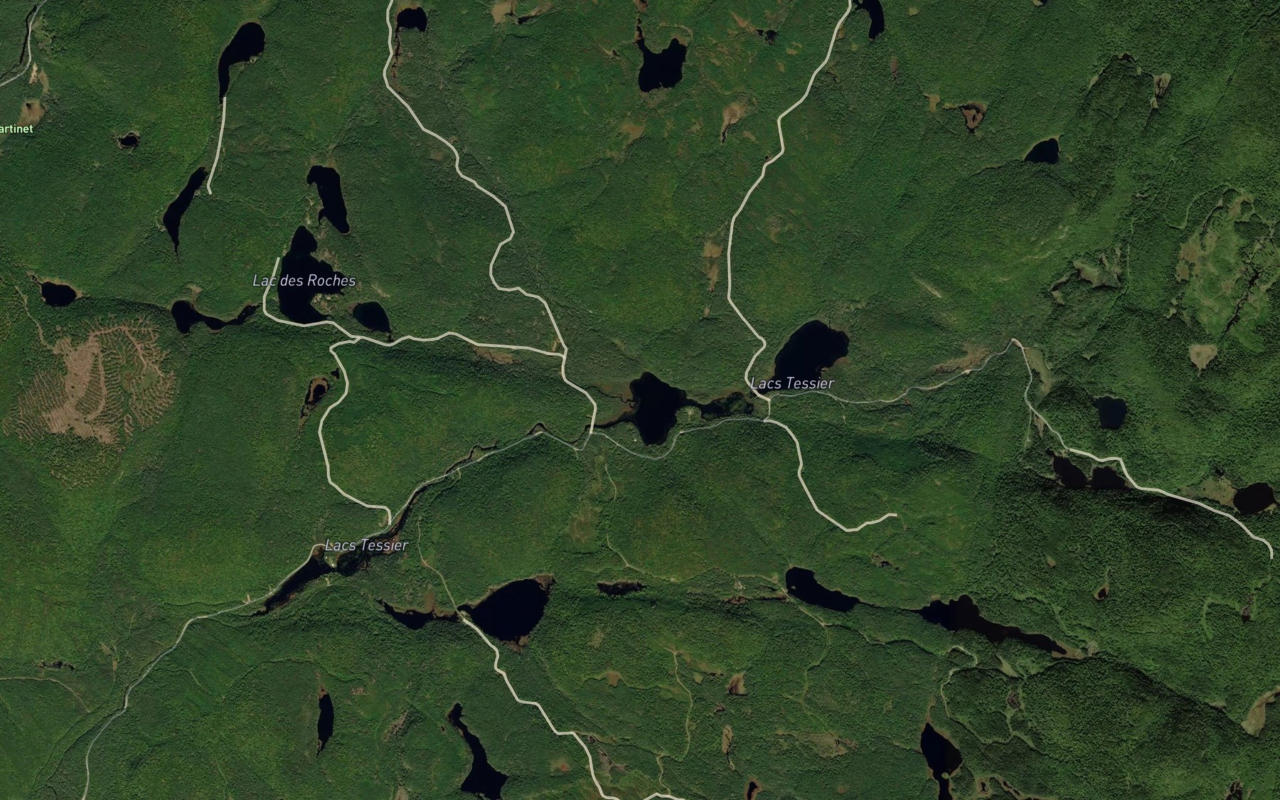 Satellite map of the Decharge des Lacs des Roches