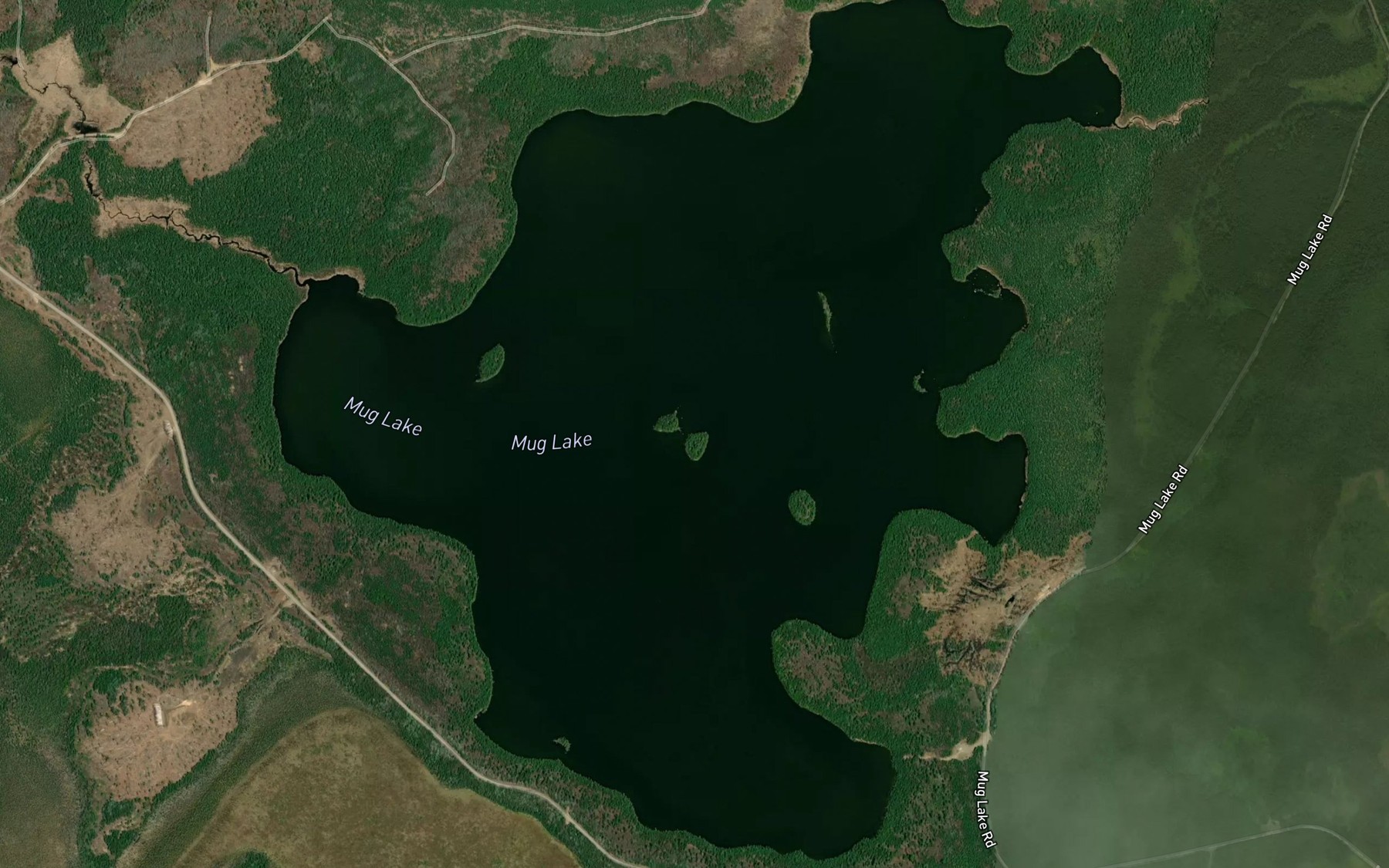 Satellite map of the Mug Lake