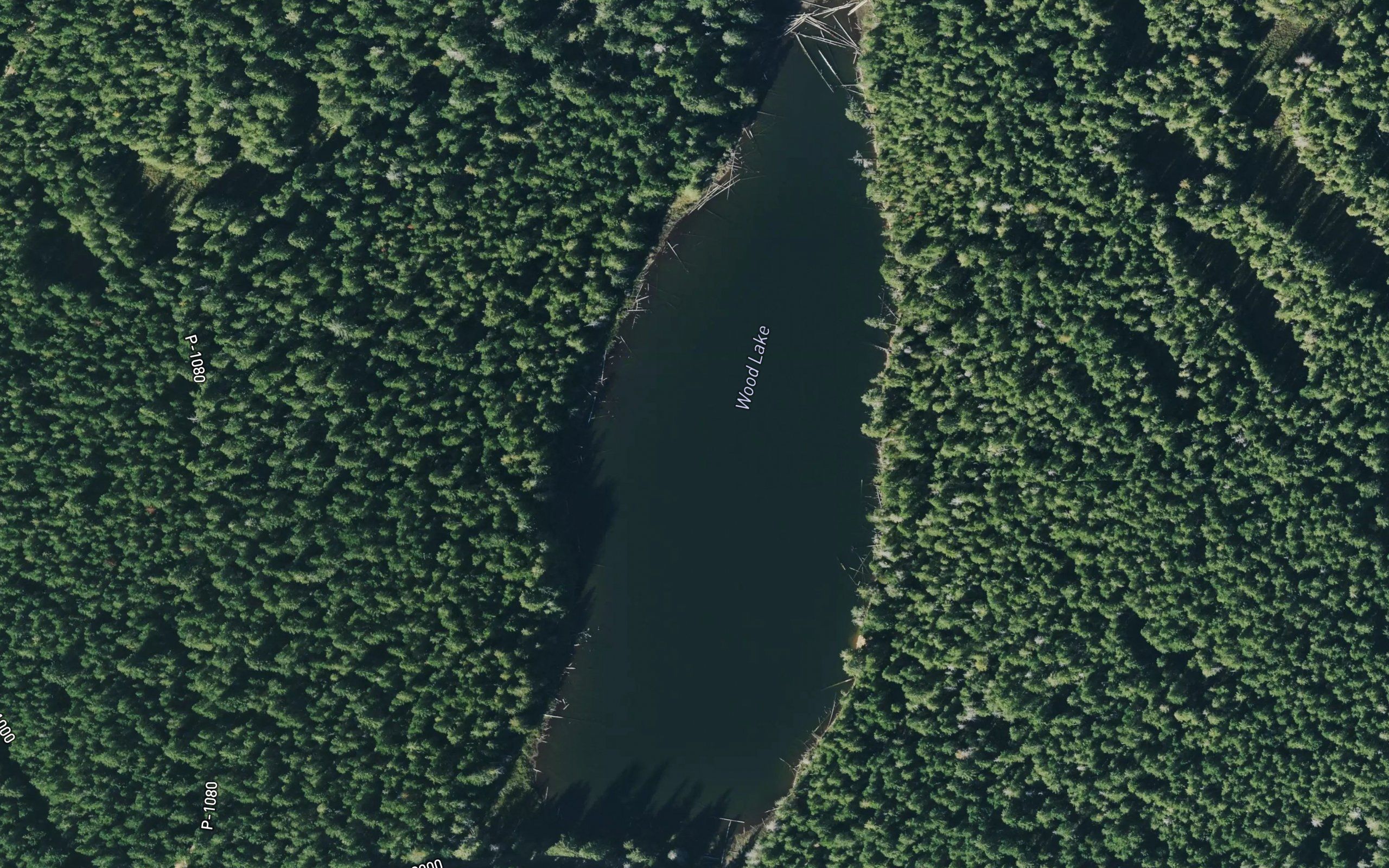 Wood Lake