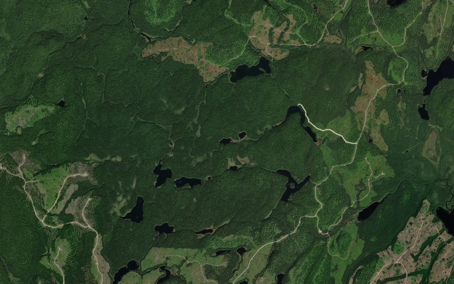 Satellite map of the Lac des Bolets