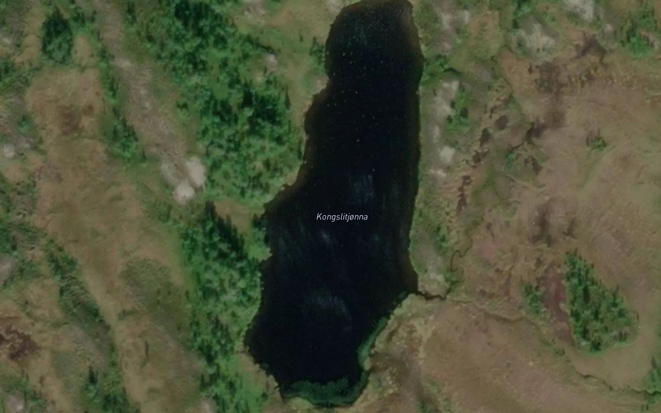Kongslitjonna