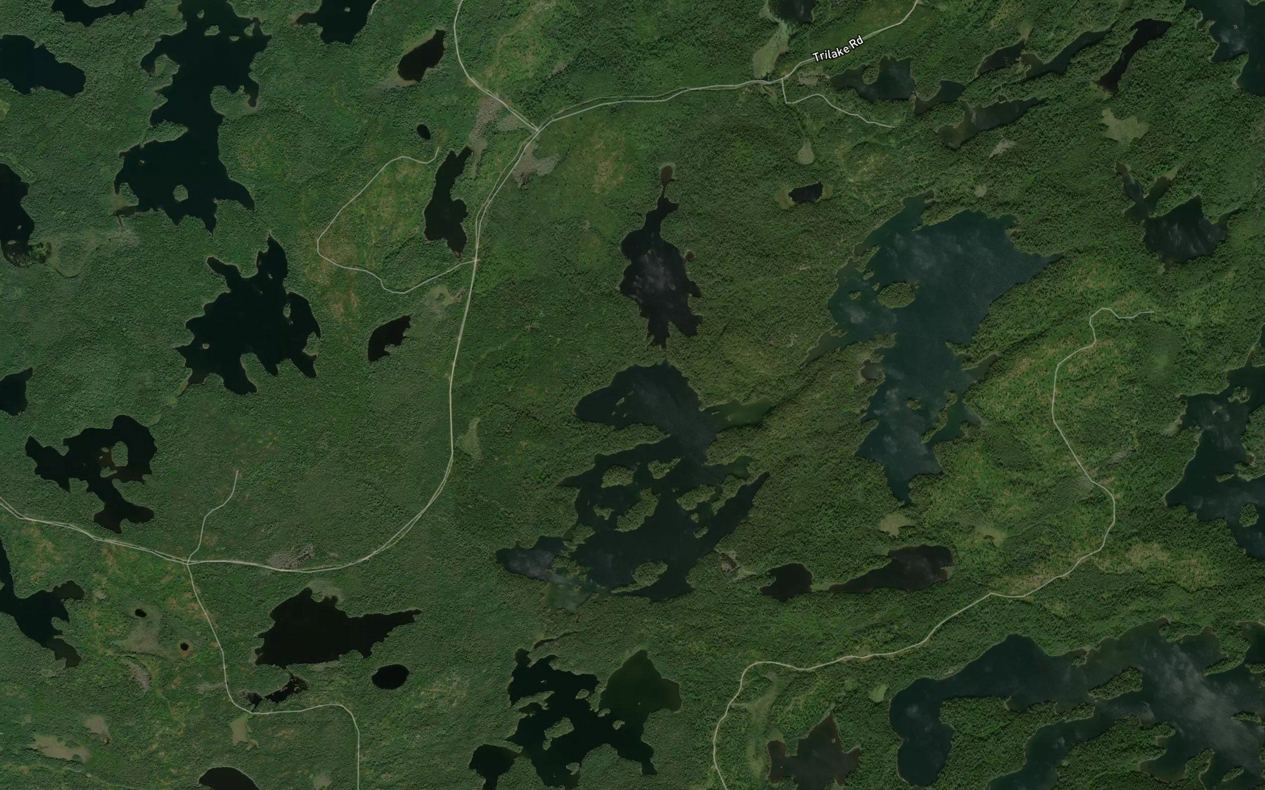 Bartley Lake