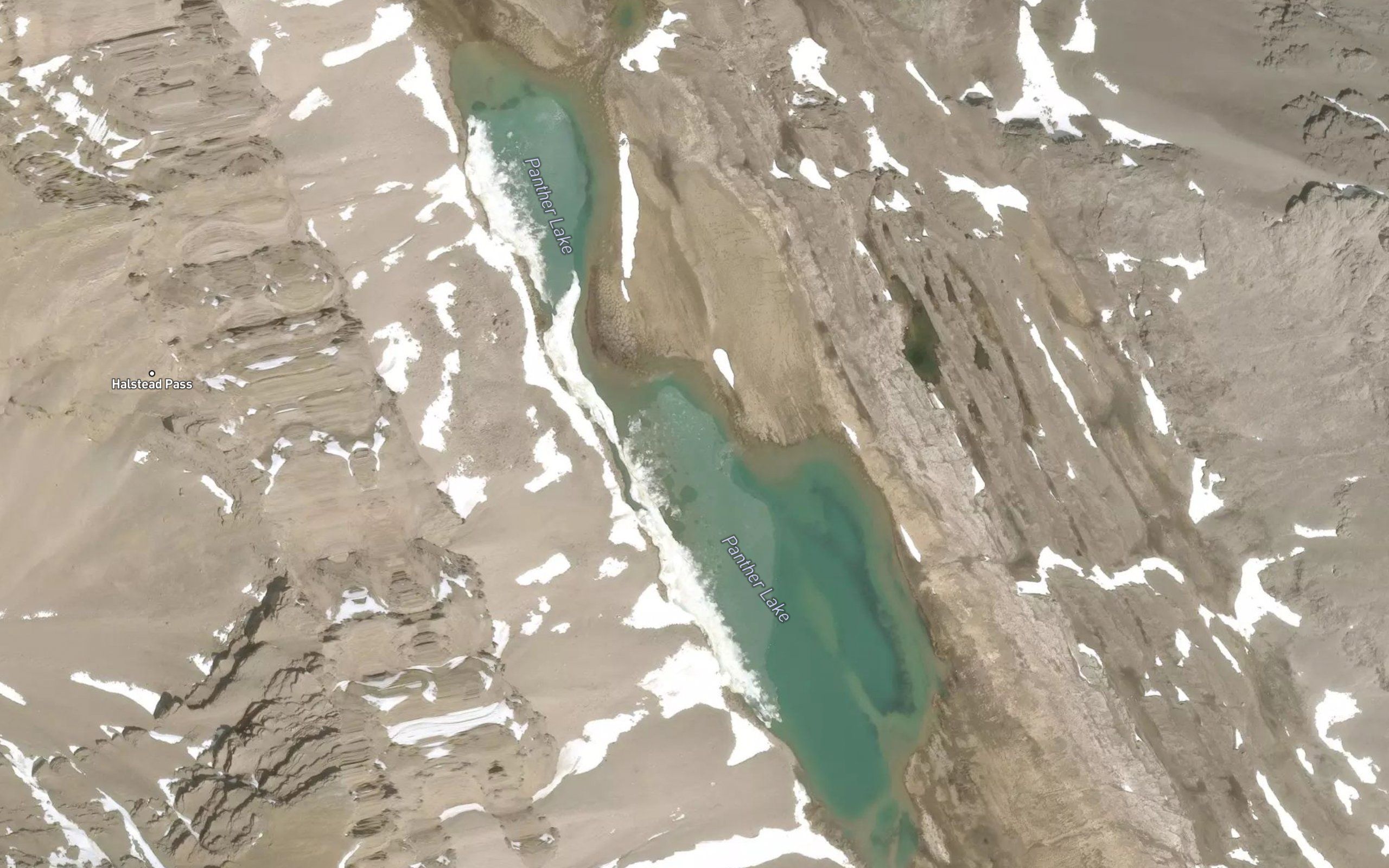 Panther Lake