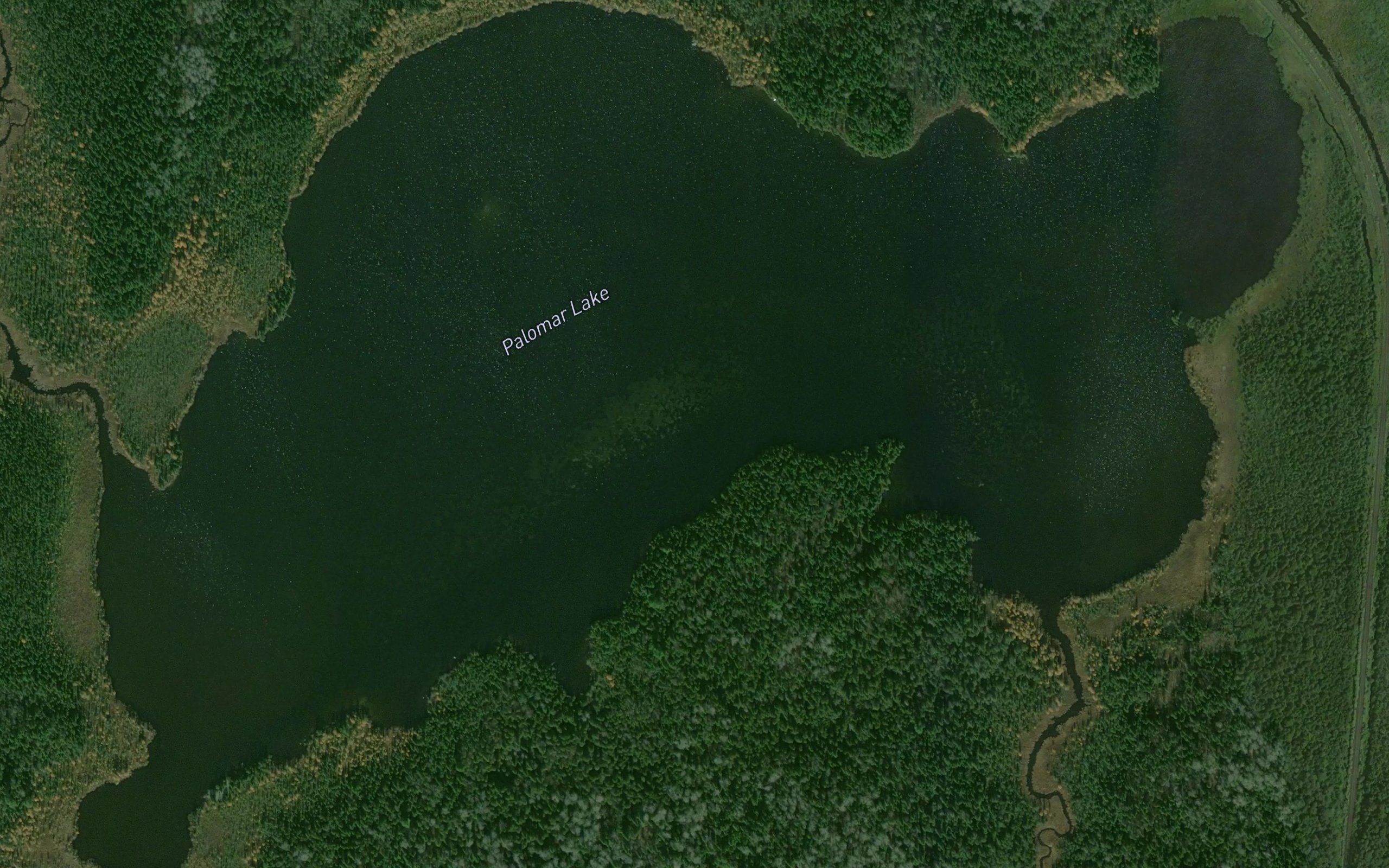 Palomar Lake