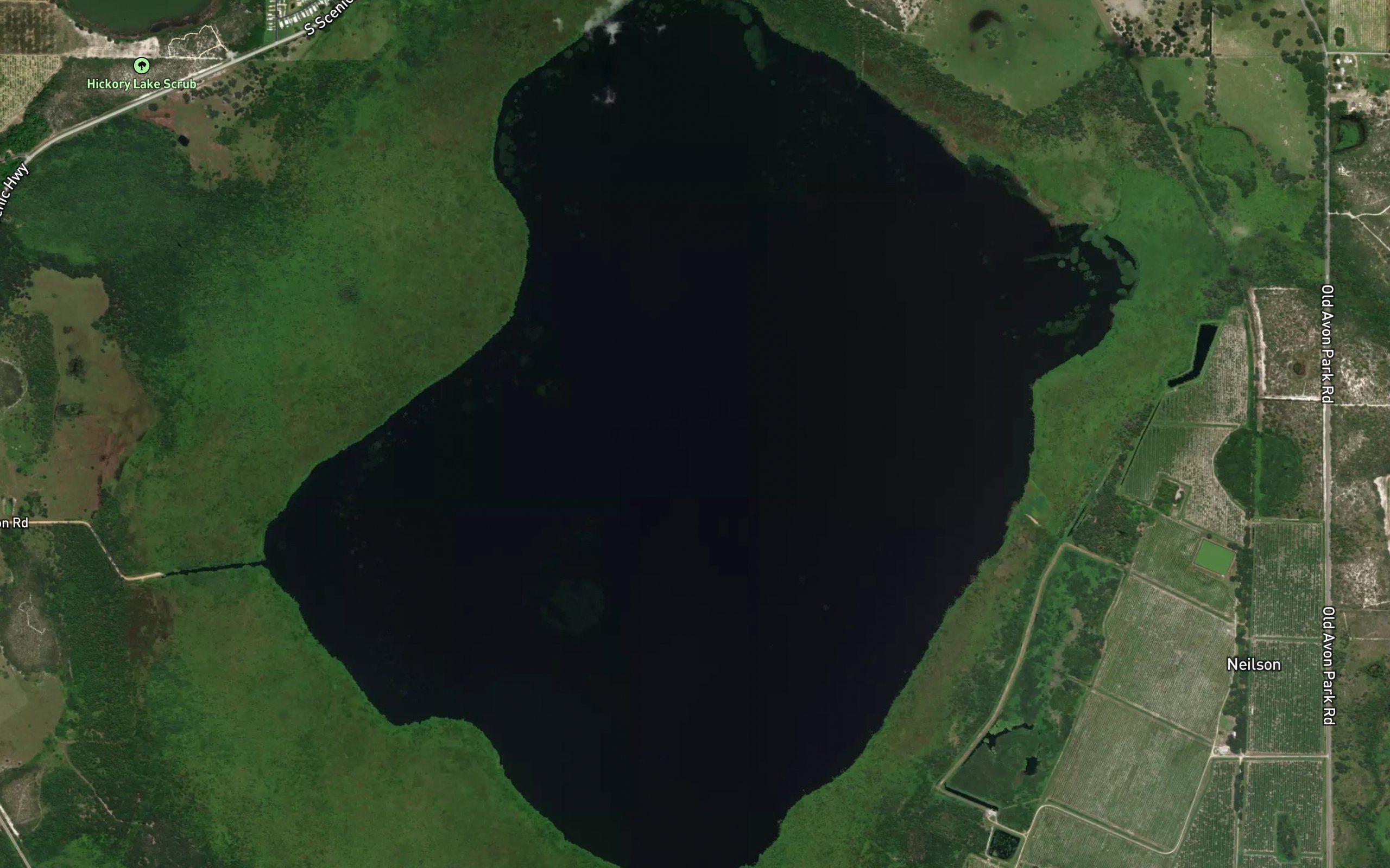 Lake Livingston