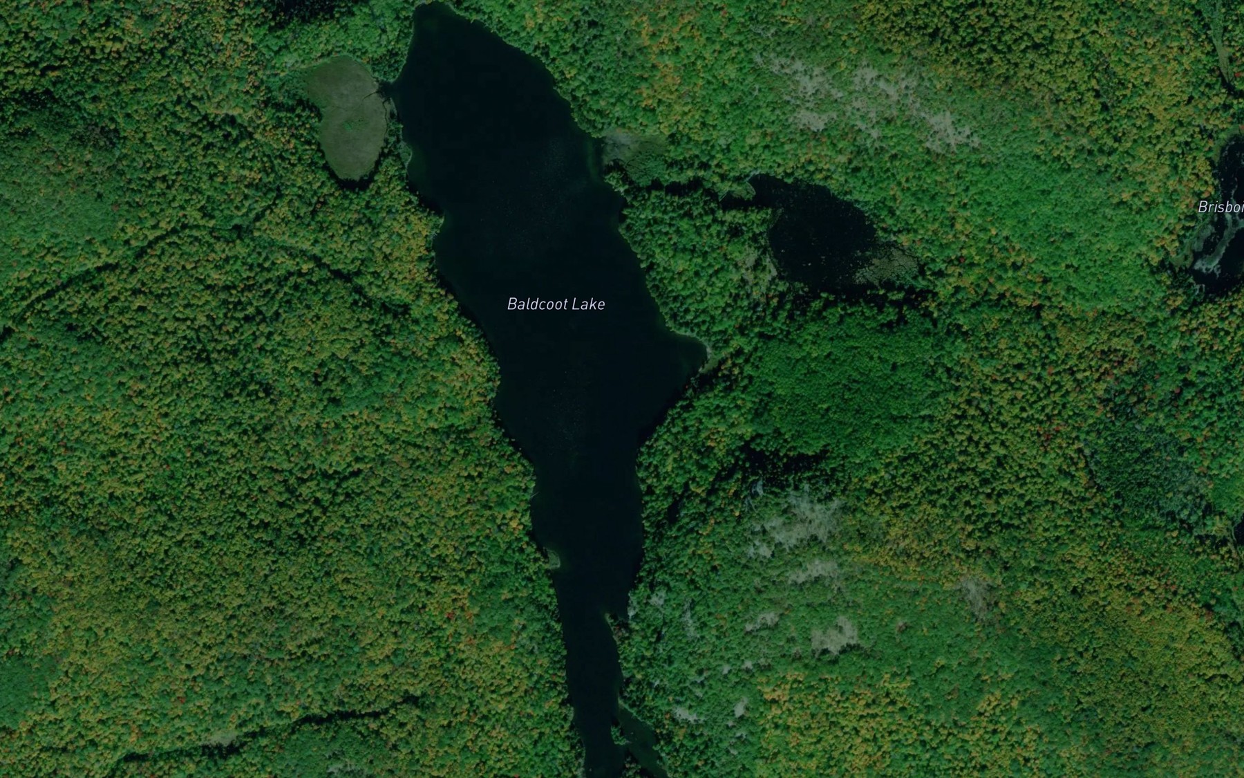 Satellite map of the Baldcoot Lake