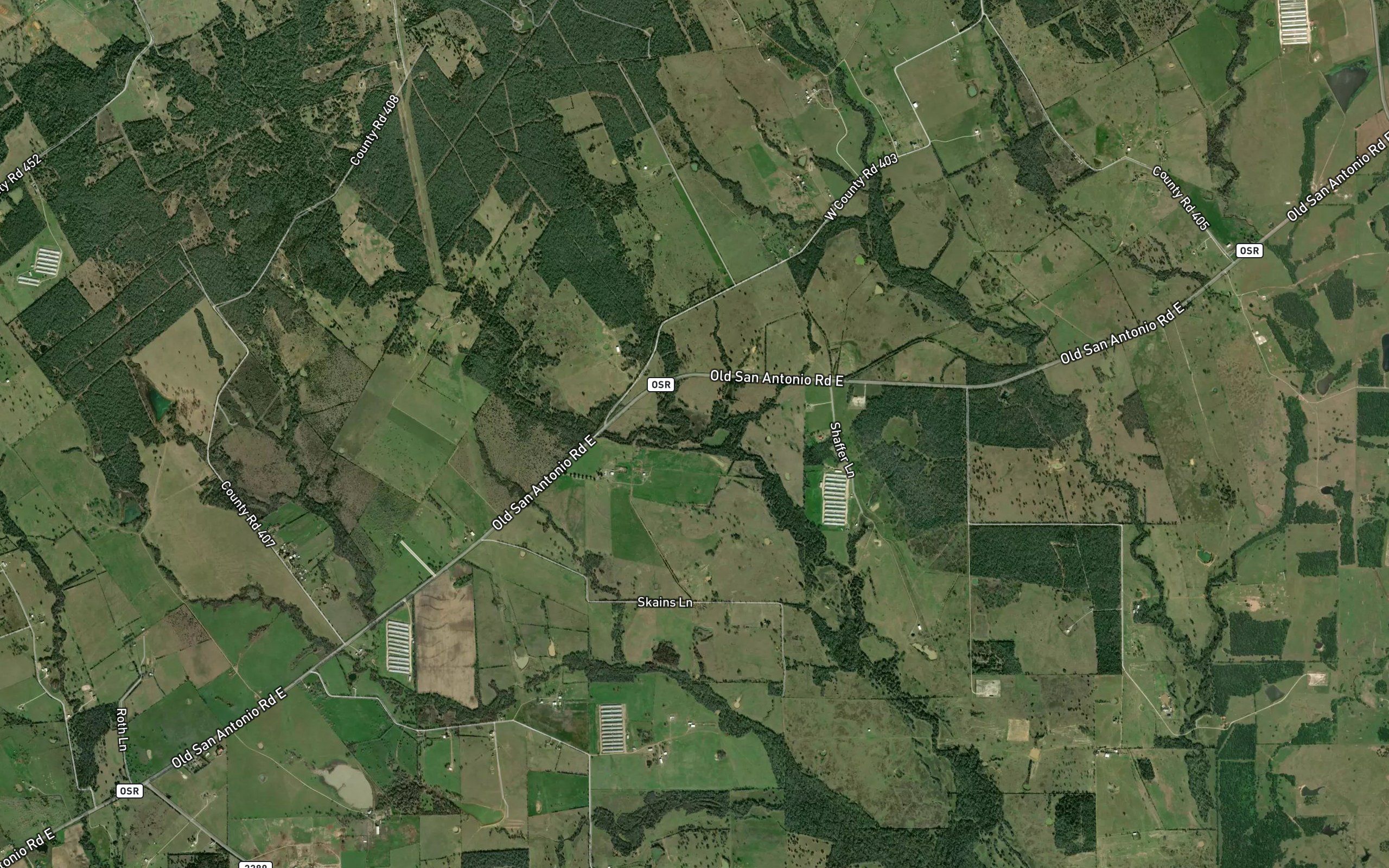 Copeland Branch