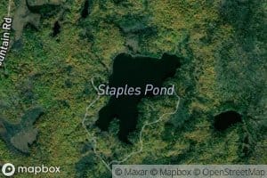 Staples Pond