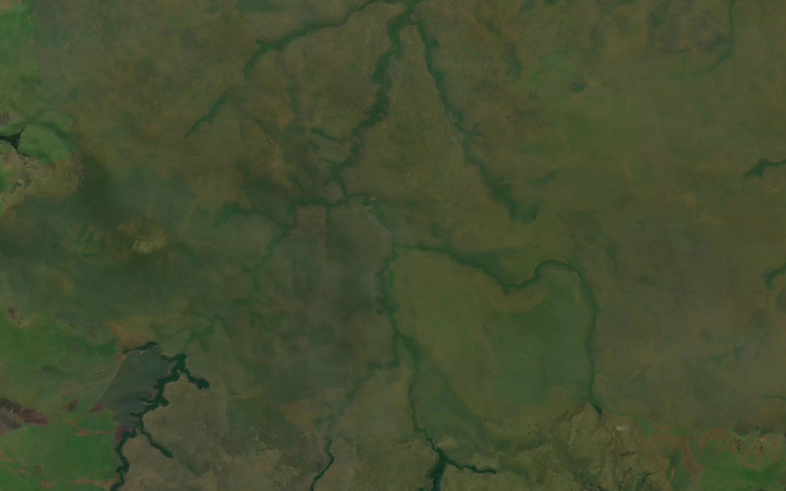 Sucula
