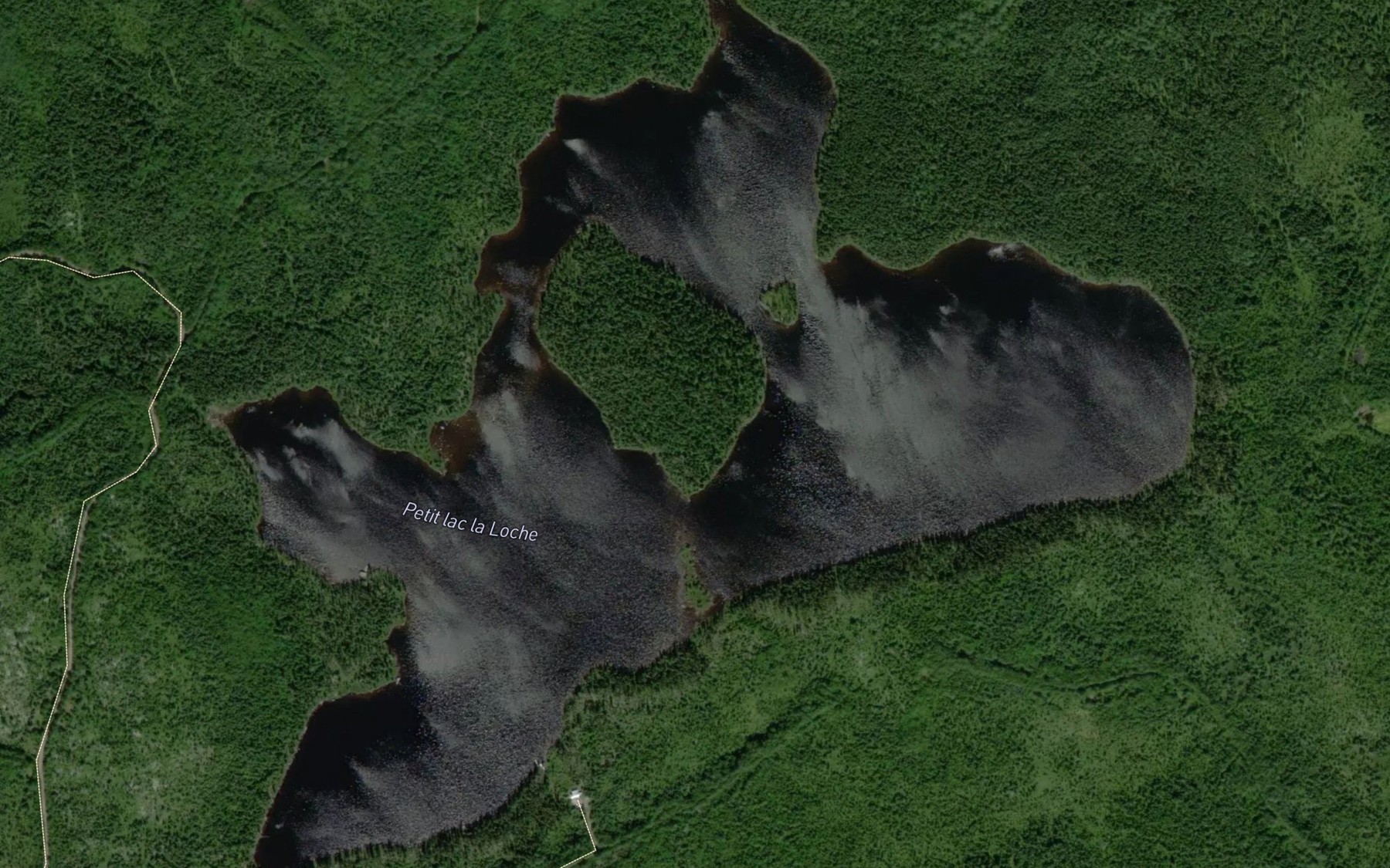 Satellite map of the Petit lac la Loche