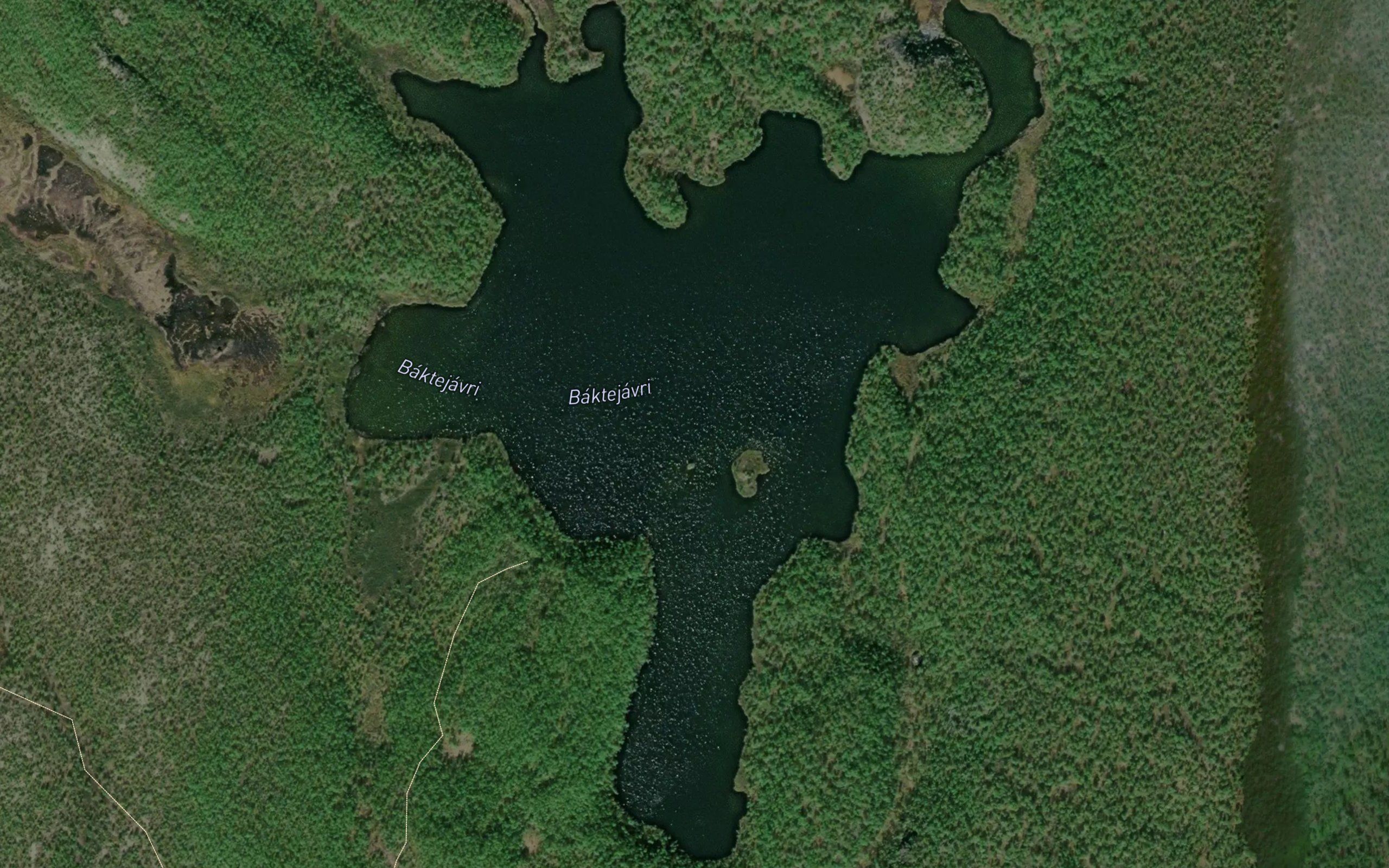 Baktejavri