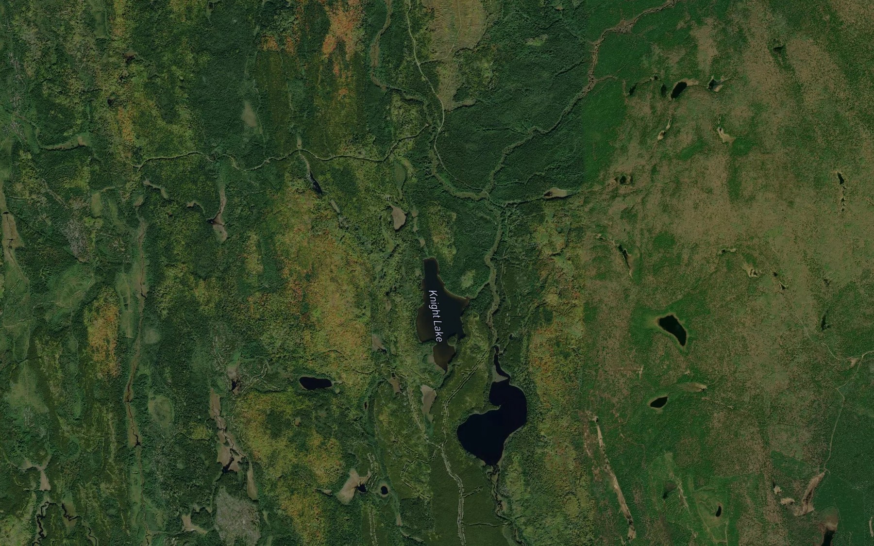 Satellite map of the Tomwool Creek