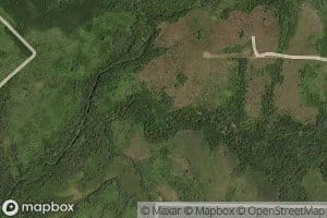 Coal Mine Brook