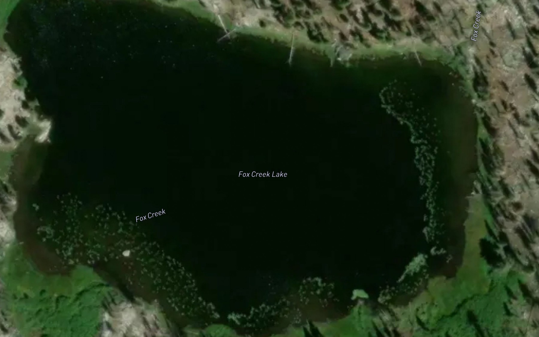 Satellite map of the Fox Creek Lake