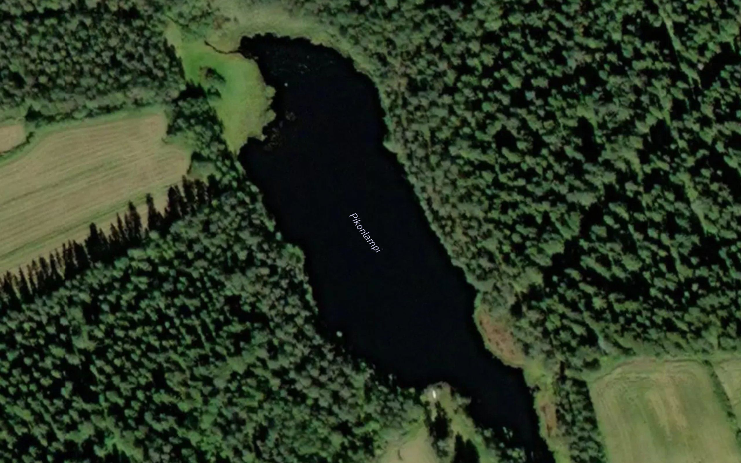 Pikonlampi