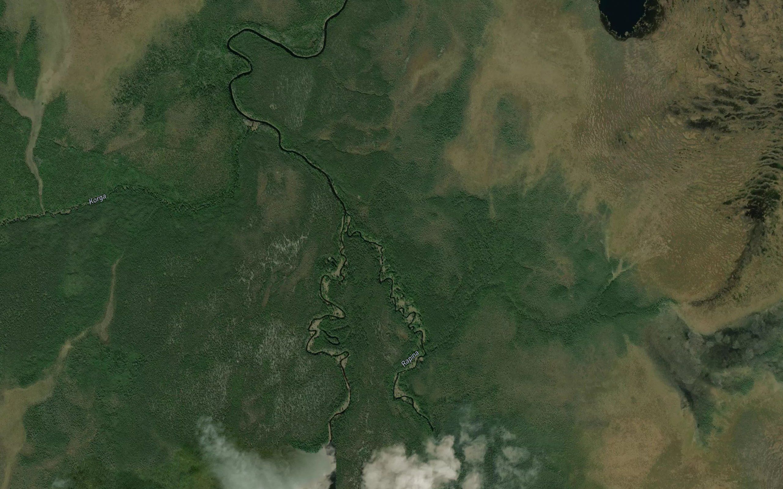 Rapina