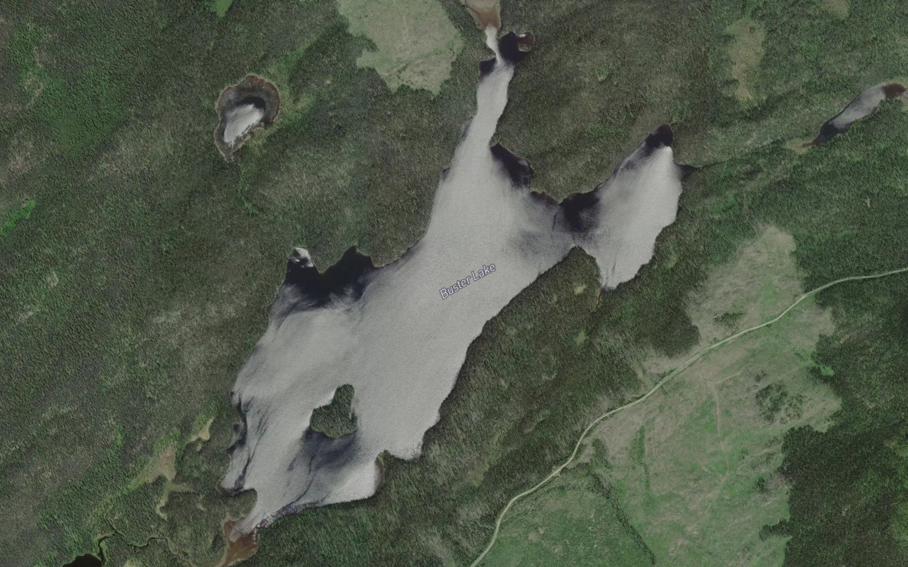 Satellite map of the Buster Lake