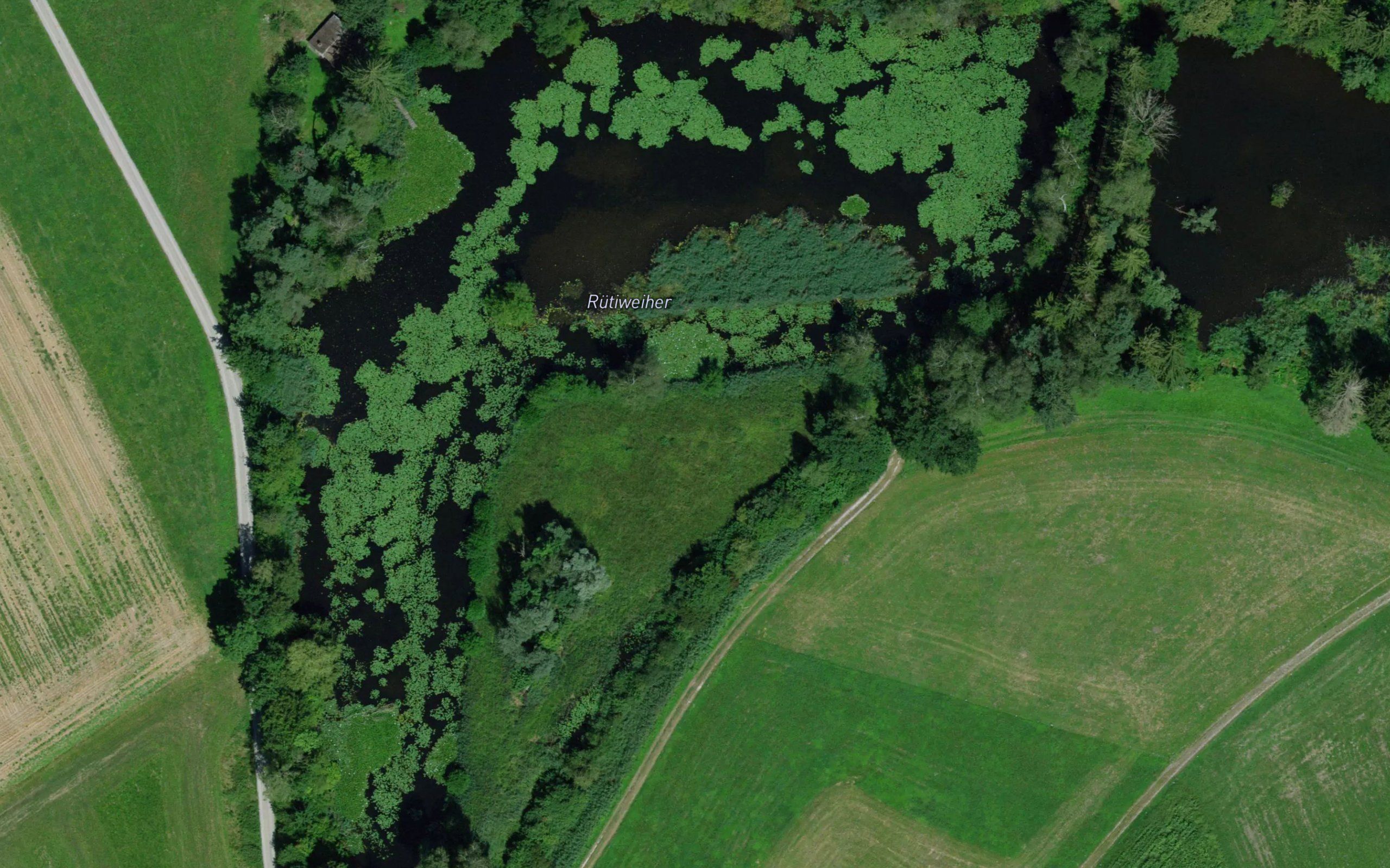 Ruetiweiher