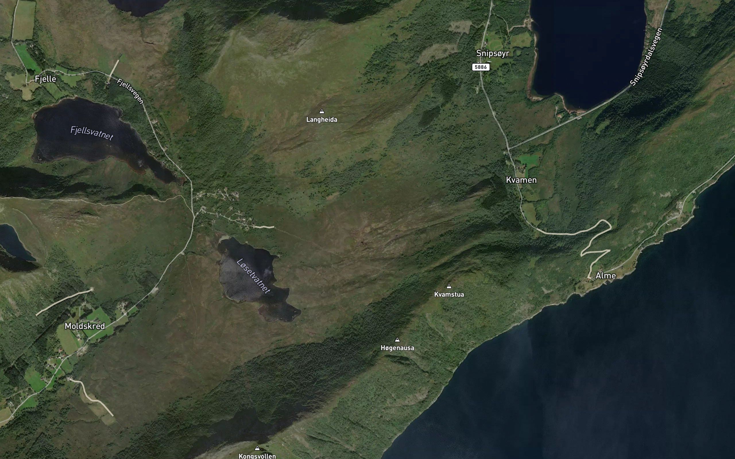 Lomtjorn
