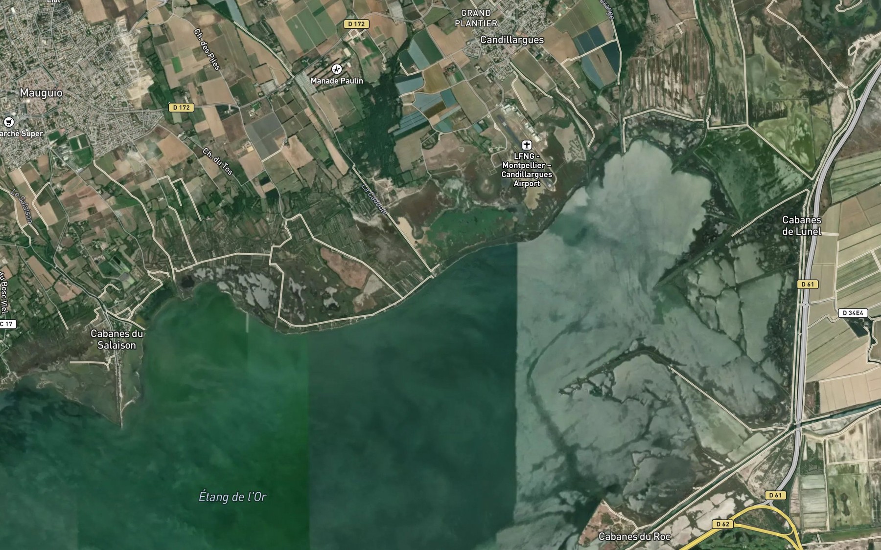 Satellite map of the Cadoule