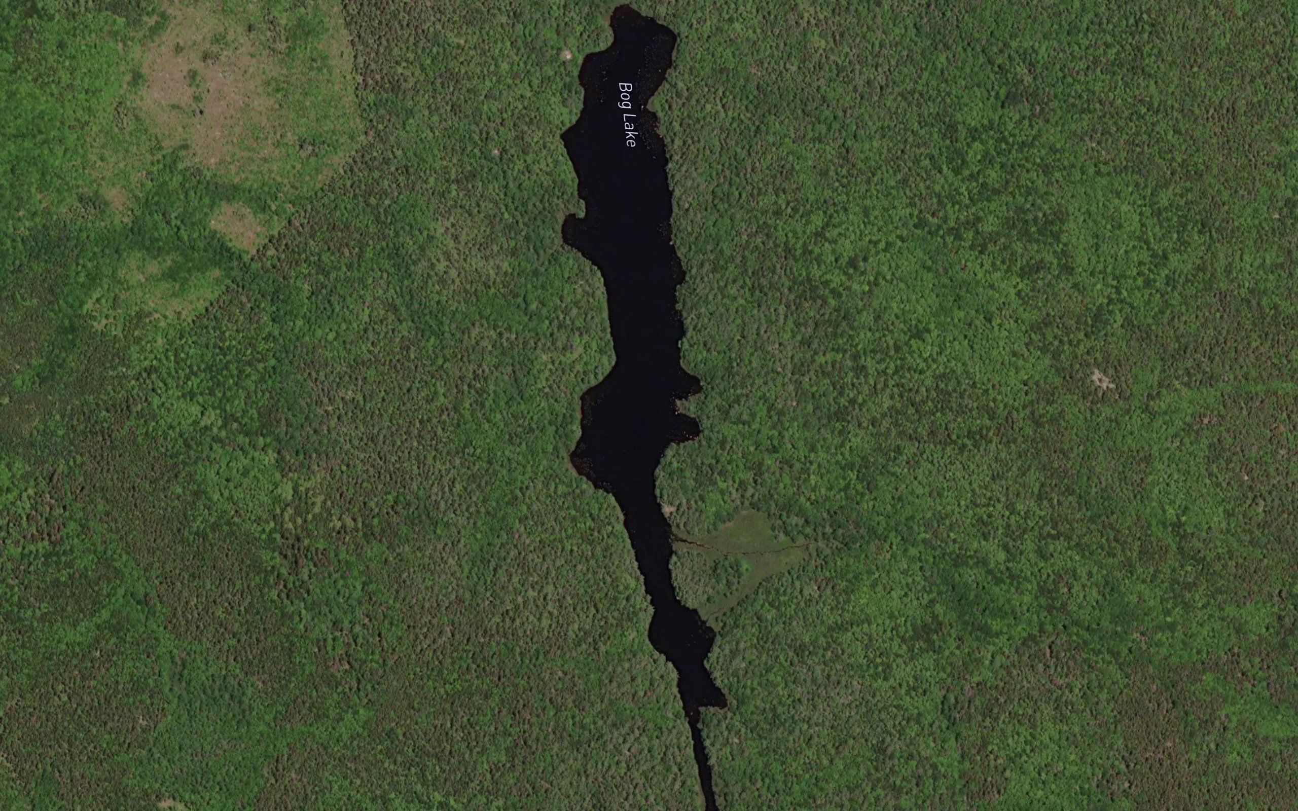 Bog Lake