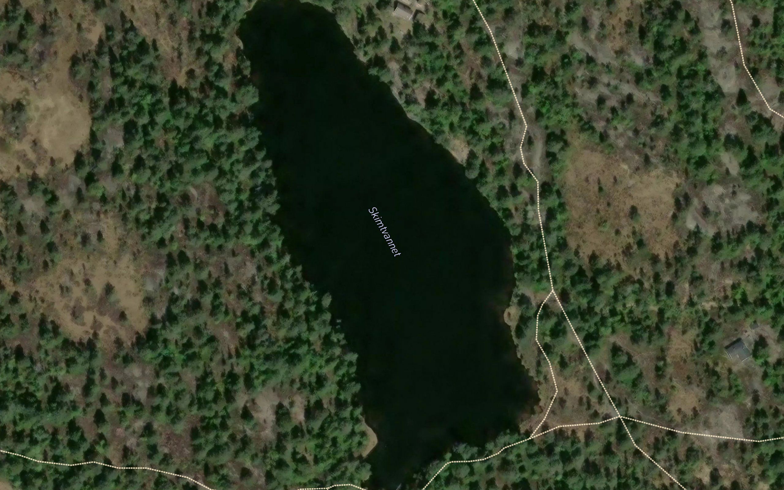 Skimtvannet
