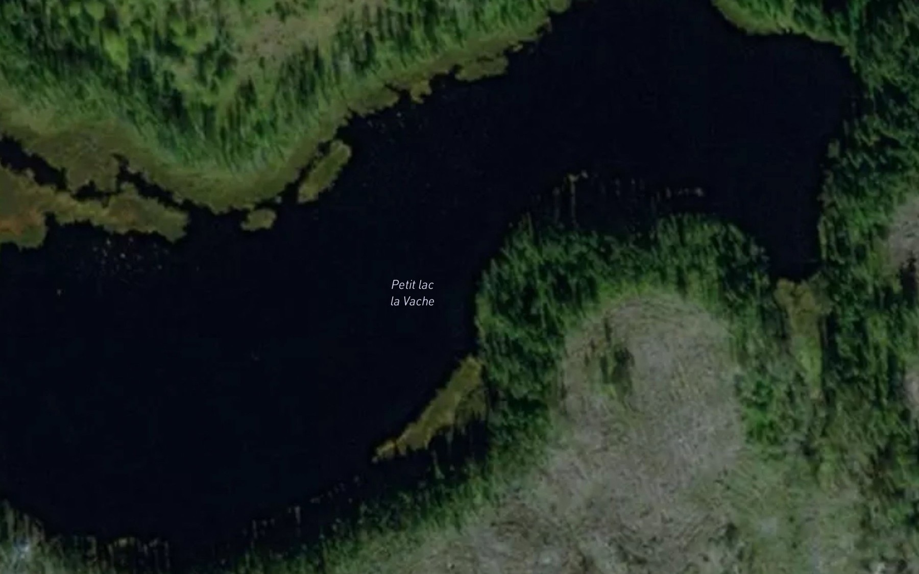 Satellite map of the Petit lac la Vache