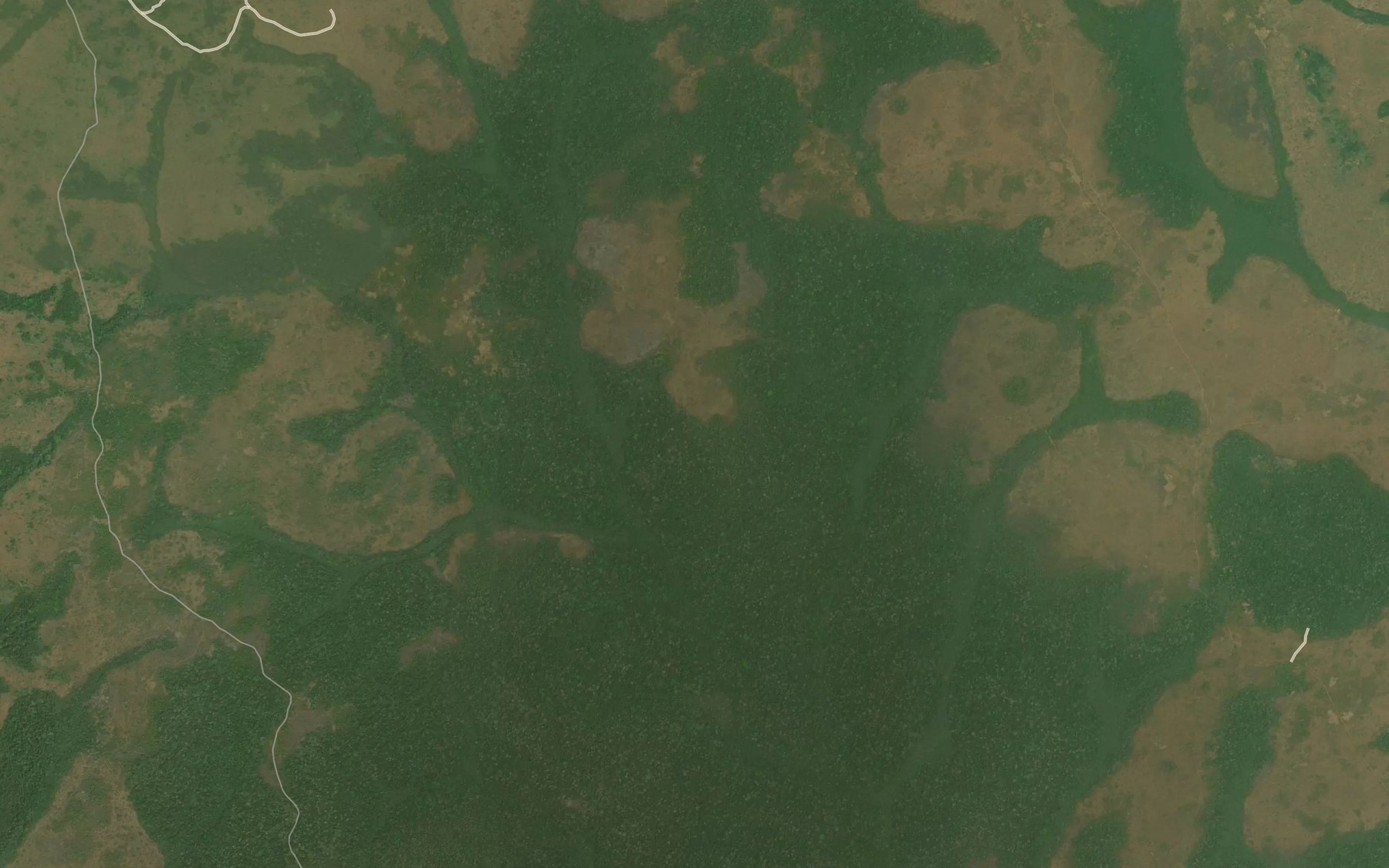 Satellite map of the Mama
