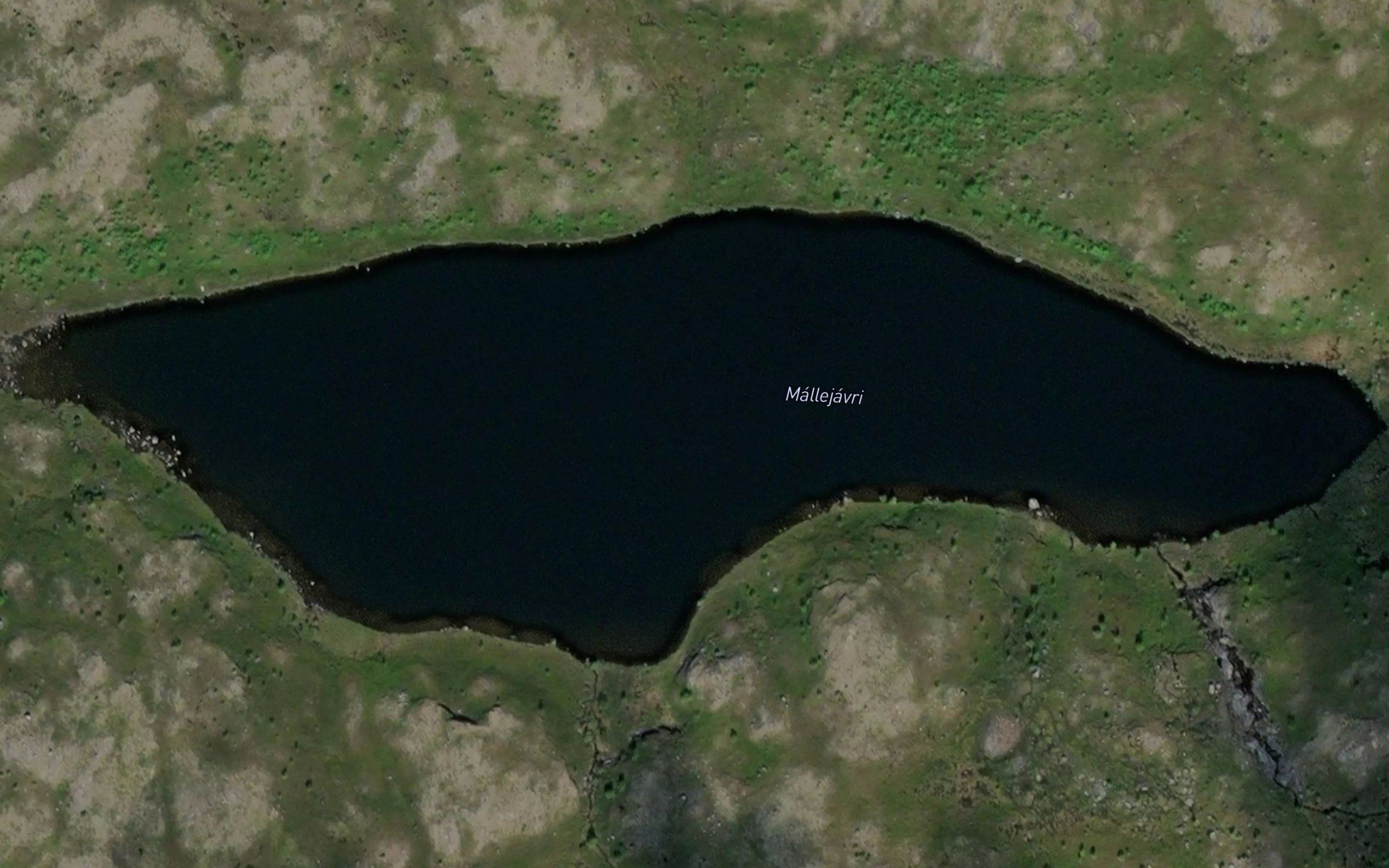 Mallejavri