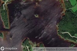 Tyynysselka