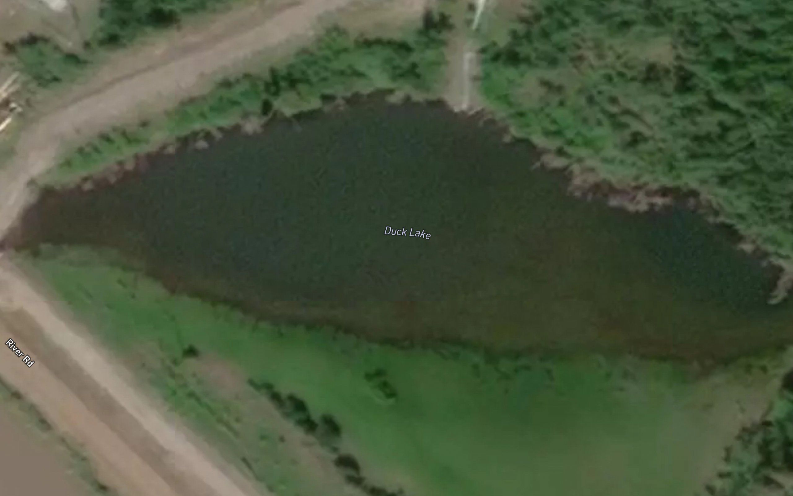 Duck Lake