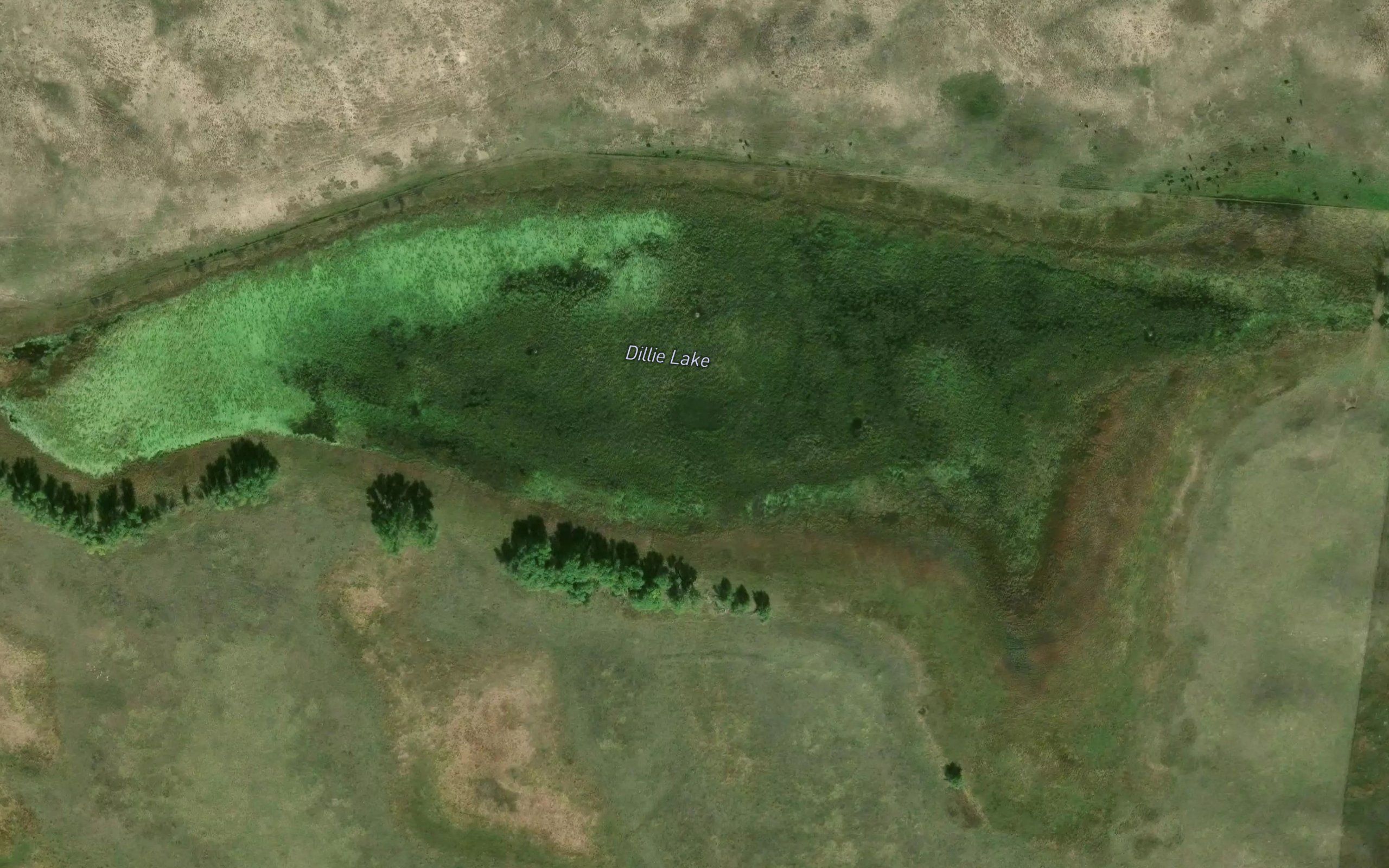 Dillie Lake