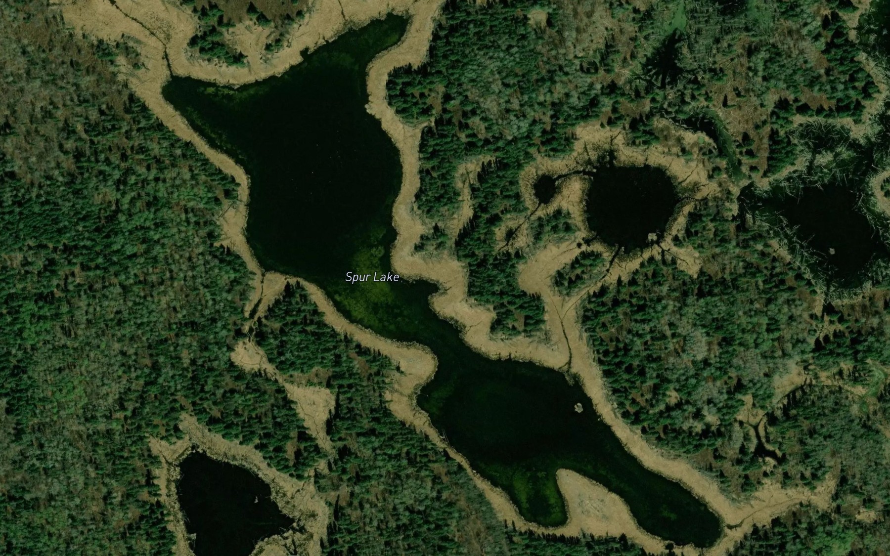 Satellite map of the Spur Lake