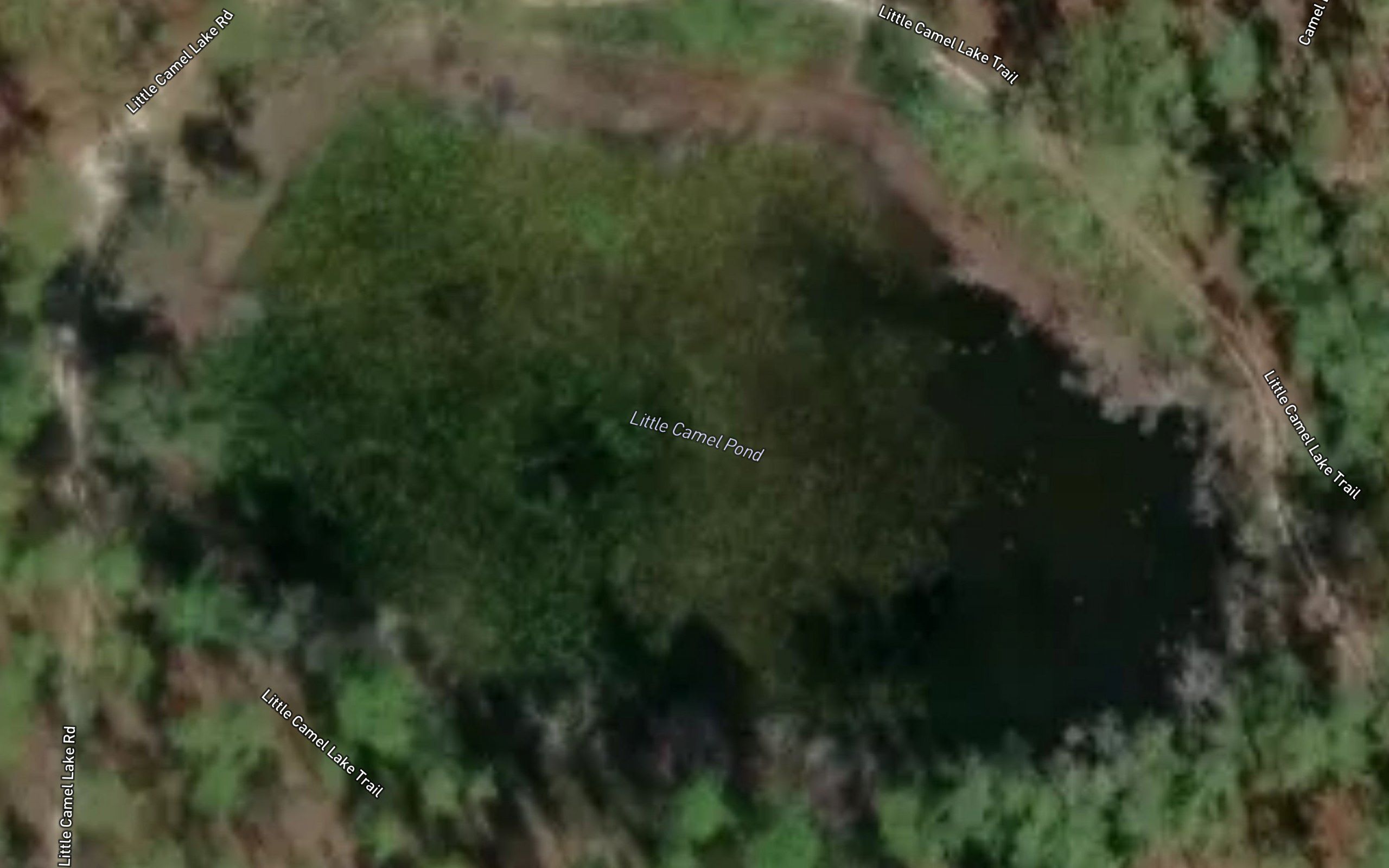 Little Camel Pond