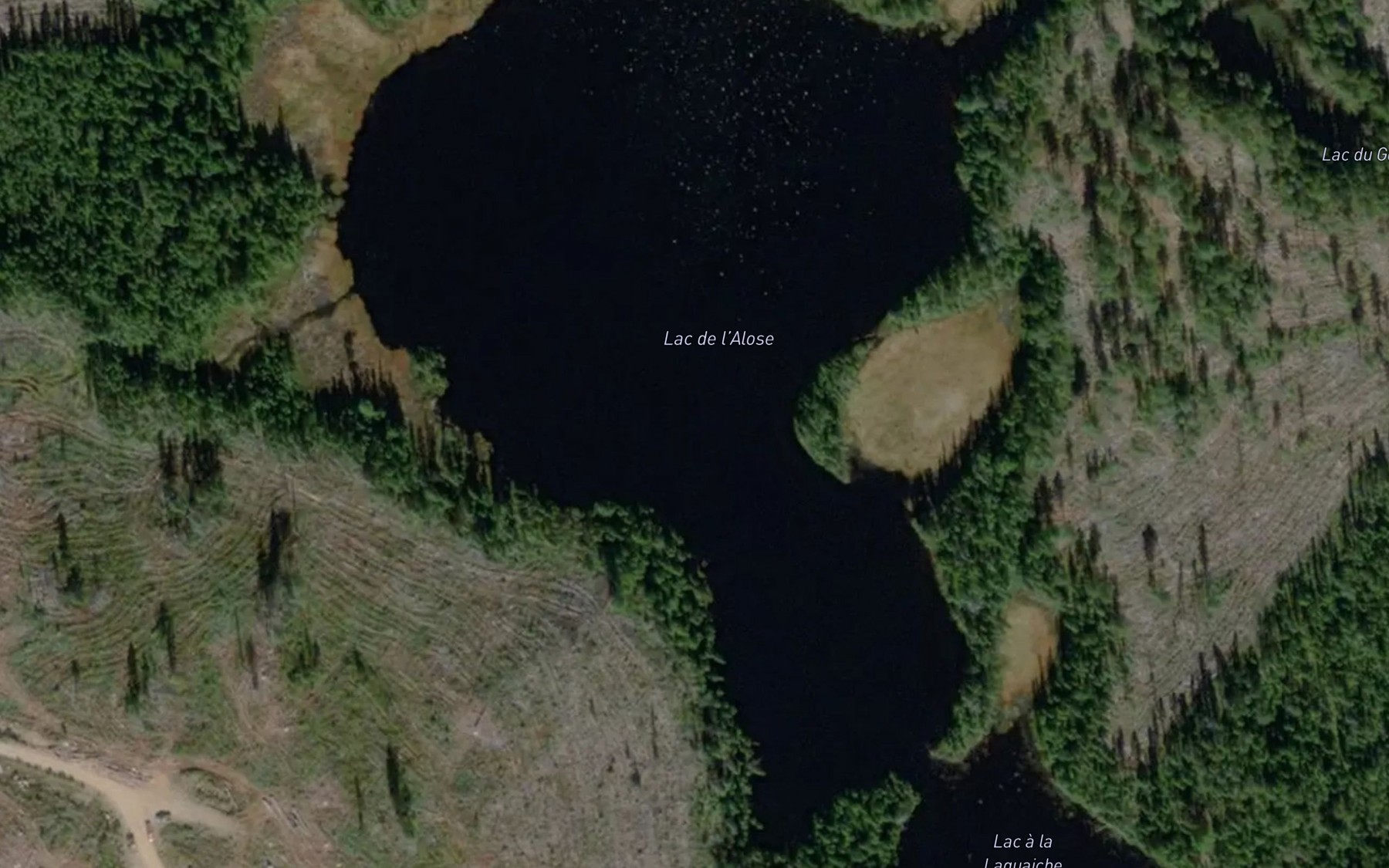 Satellite map of the Lac de l'Alose