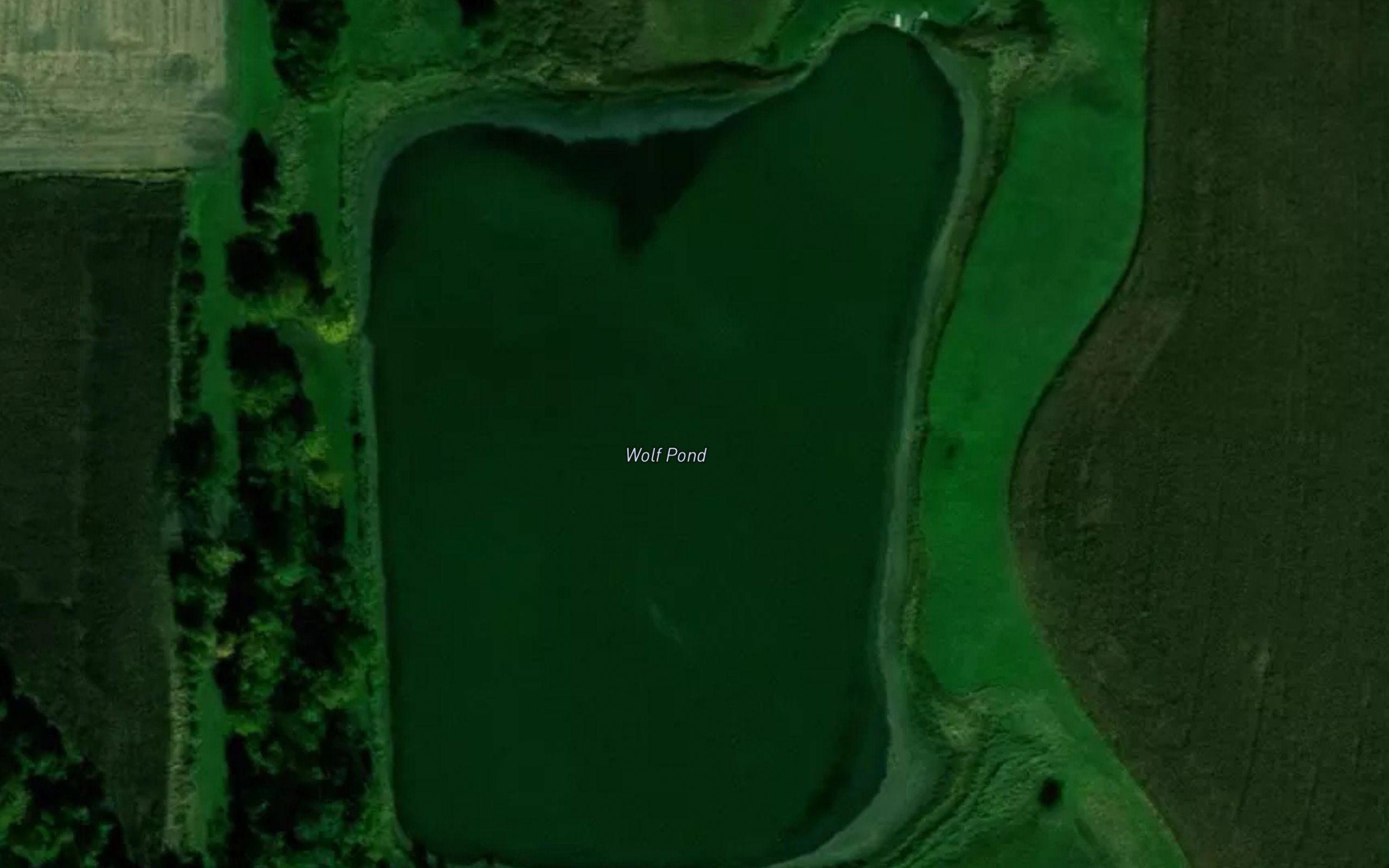 Wolf Pond