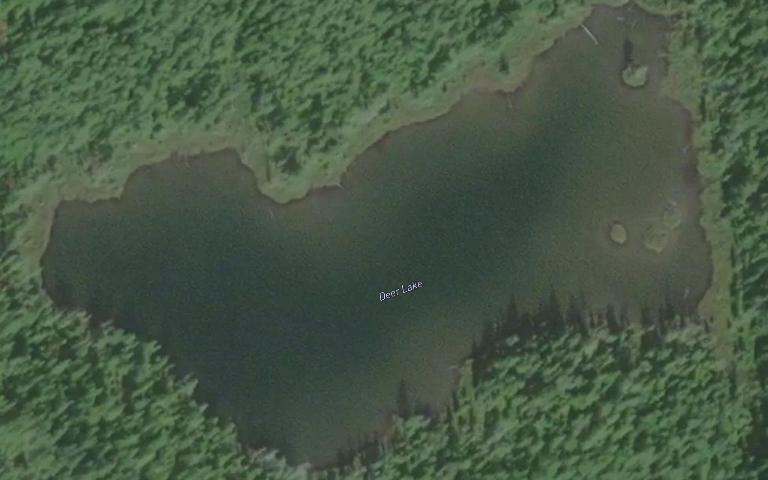 Deer Lake