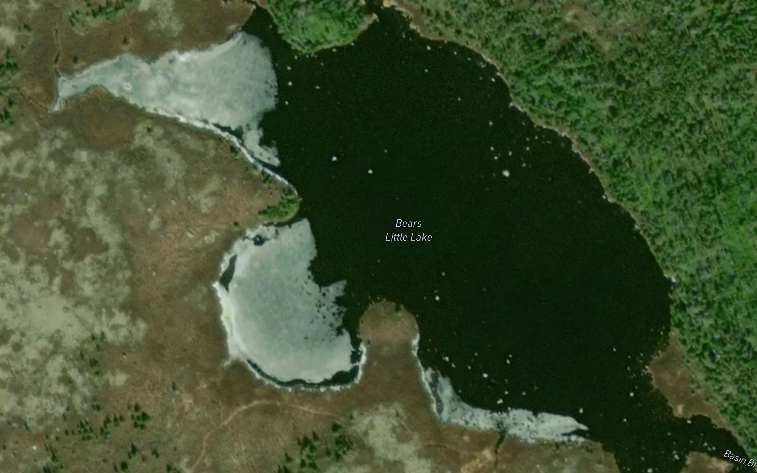 Bears Little Lake